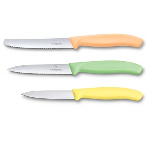 Кухонный набор Victorinox Swiss Classic 3 ножа разноцветный 6.7116.34L2